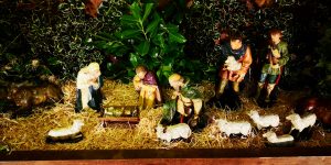 A view of the christmas crib