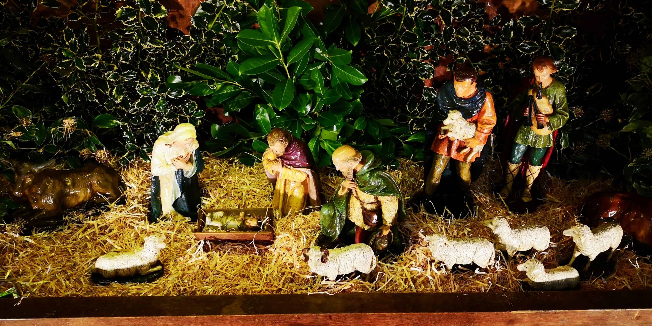 A view of the christmas crib