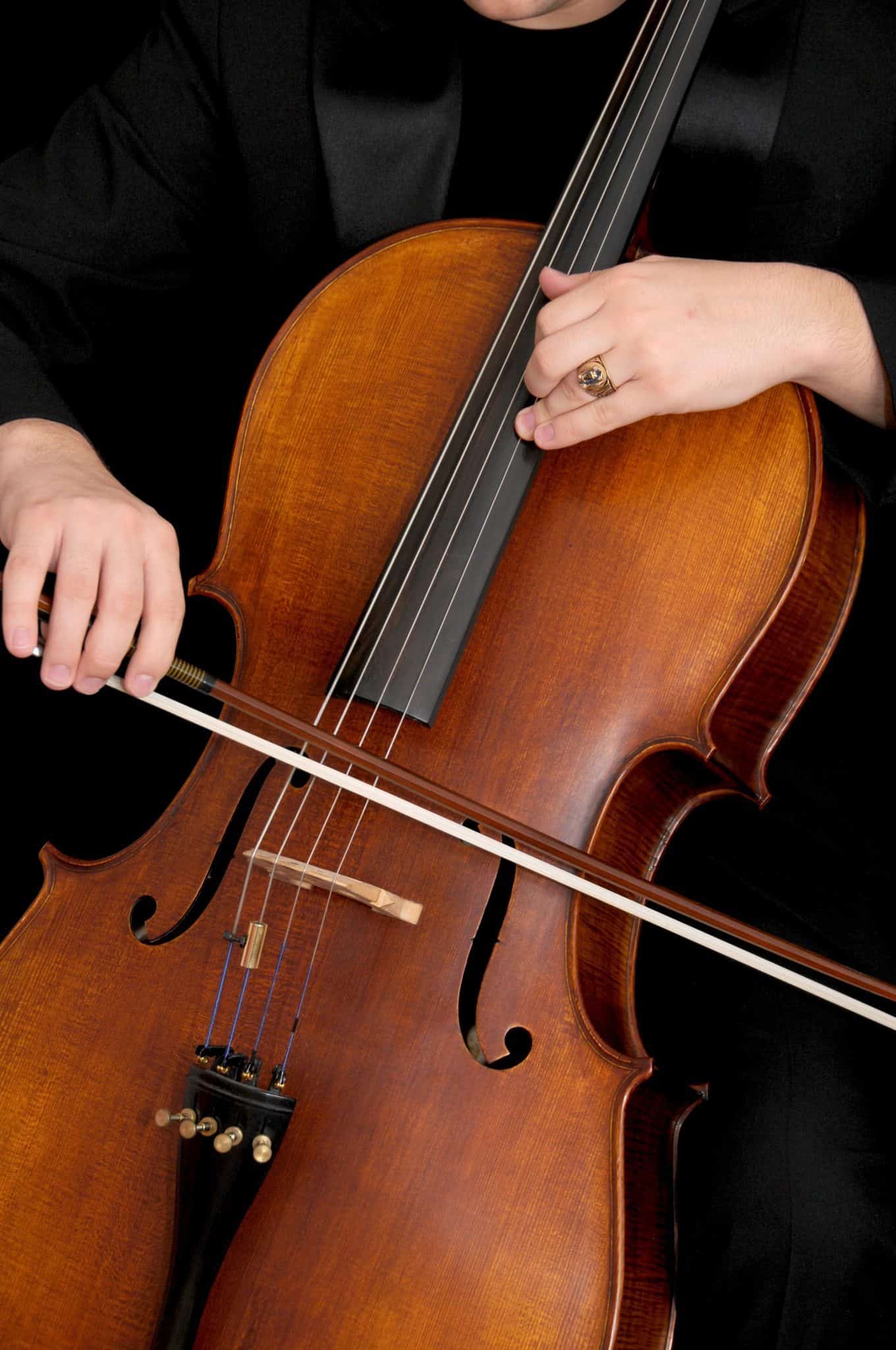 Bowed string instrument cello cello bow 462510