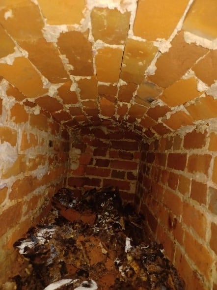 Picture1