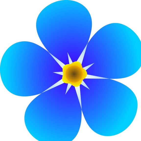Forget me not