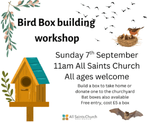 Bird box building workshop (1)