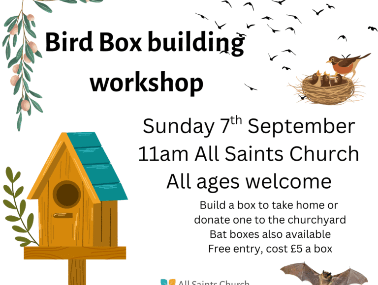 Bird box building workshop (1)